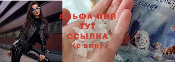 экстази Арсеньев