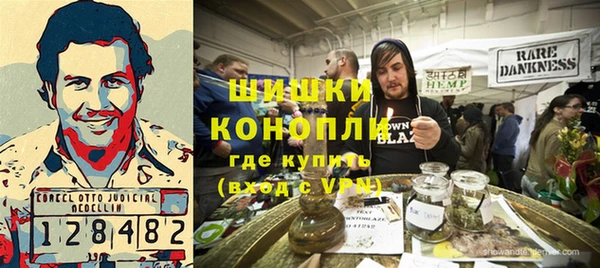 PSILOCYBIN Аркадак