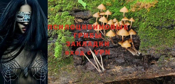 PSILOCYBIN Аркадак