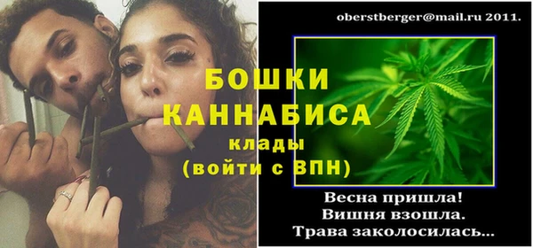 PSILOCYBIN Аркадак