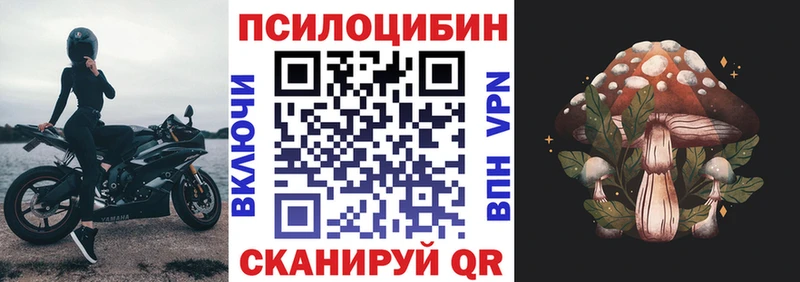 кракен ТОР  Межгорье  дарк нет официальный сайт  Псилоцибиновые грибы ЛСД 